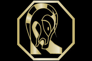 Restaurante Bar Familiar El Campe&oacute;n 1